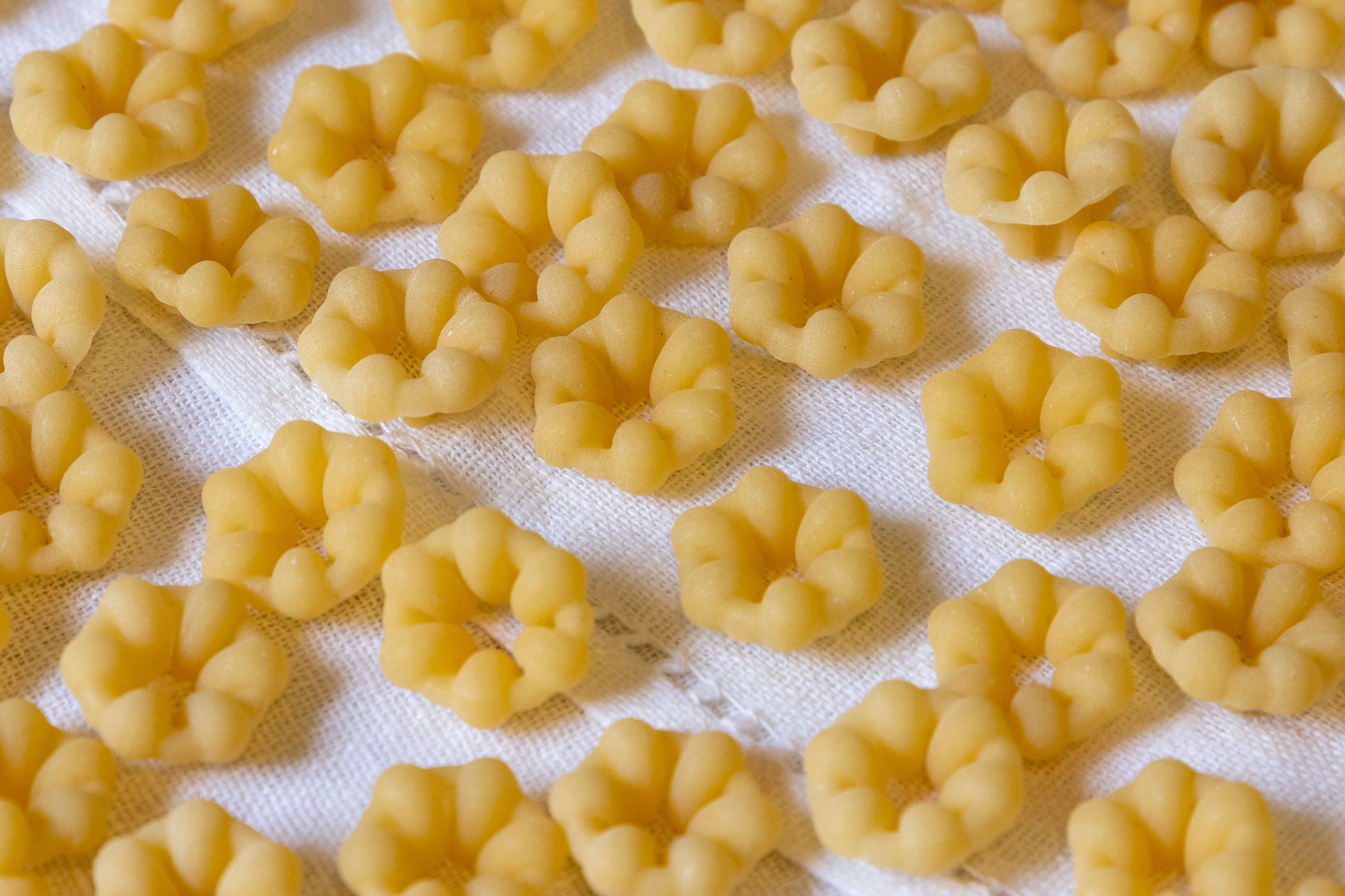 Pasta: pens, shells, rigatoni, fusilli and squid. Top view Stock