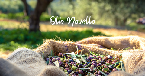 What is Extra Virgin Novello Olive Oil?