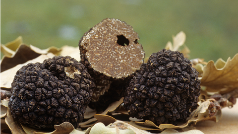 Italian Truffles: 5 Things To Know